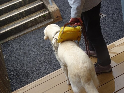 17492537_1047912068686293_4907262227738318668_o