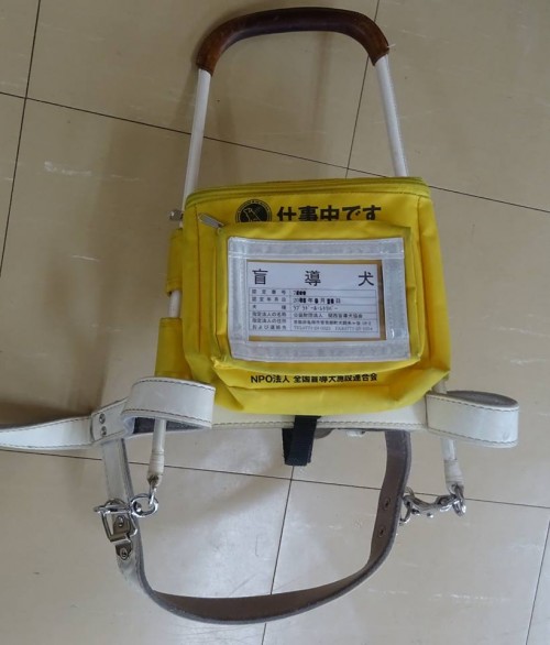 17522866_1047899922020841_4173582779184683600_n