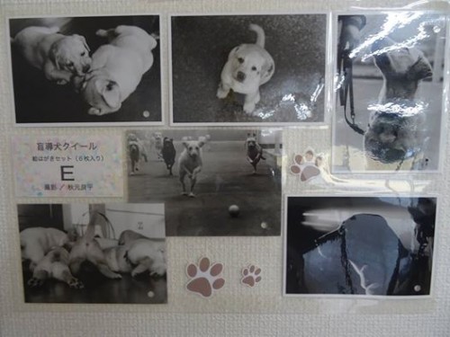 17523479_1047845722026261_4905030918538946432_n