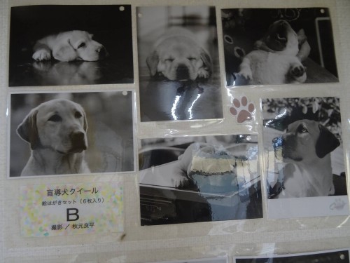 17546838_1047844808693019_3948617034683230502_o