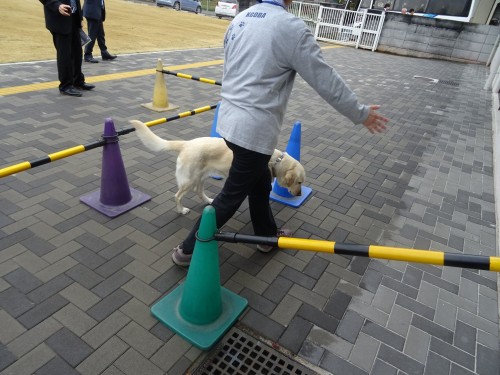 17636931_1047908482019985_5822144866394021583_o