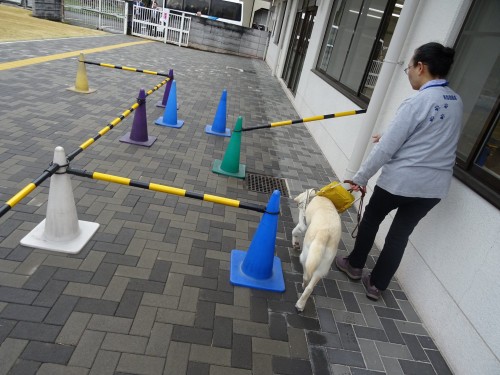 17758420_1047907728686727_8887232741103162617_o