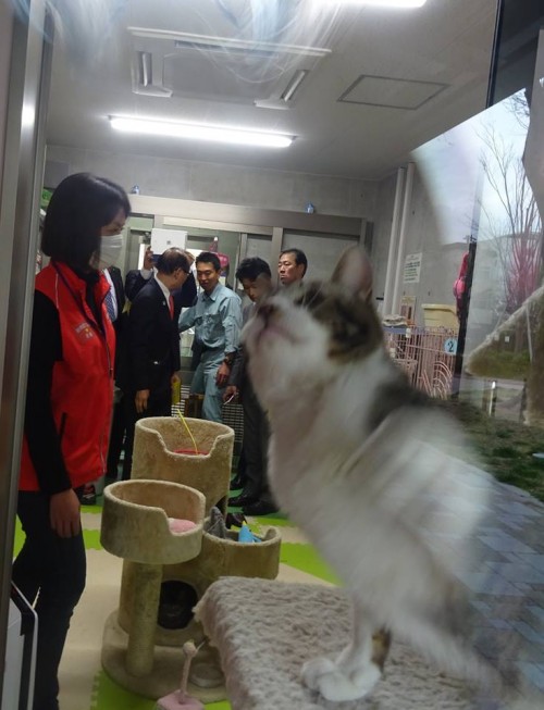 17759851_1047360625408104_1266132190177134902_n