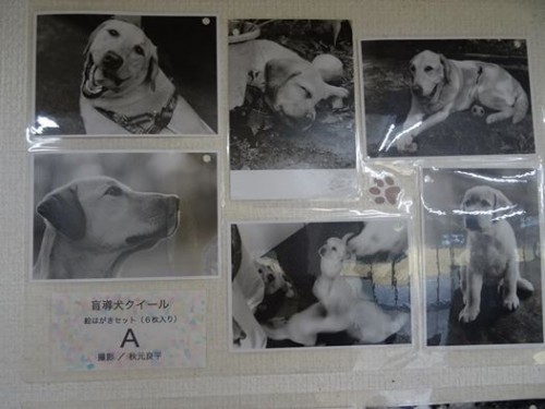 17760235_1047845162026317_4121298025190541132_n