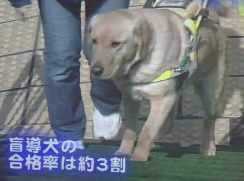 17761101_1047859348691565_5431080258128162964_o