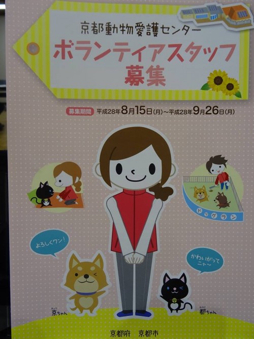 17795973_1046995568777943_1843019008531861561_n