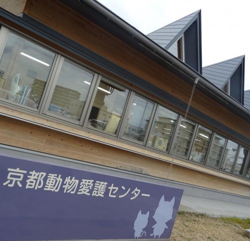 17796026_1046983005445866_6369742650168313117_n