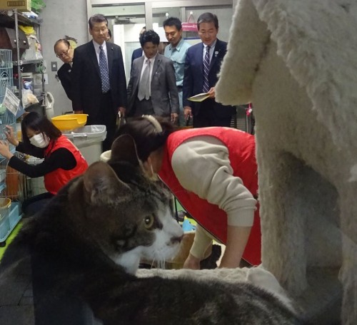 17796036_1047356275408539_7356915518518461034_n