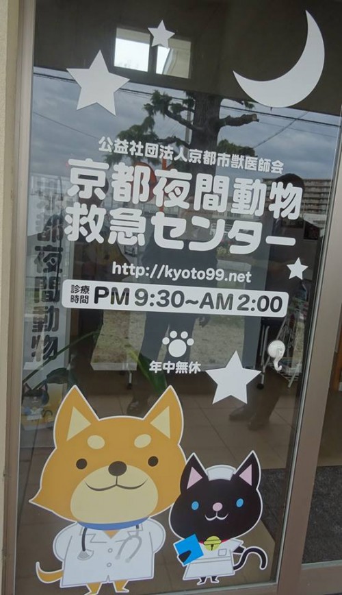 17796117_1047009935443173_3585725372637228979_n