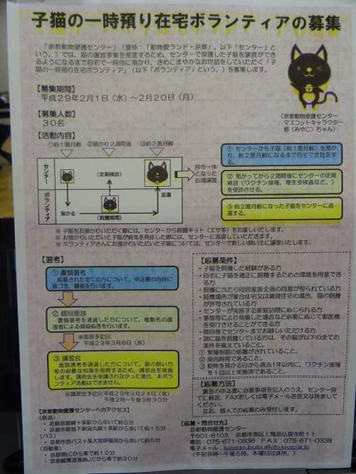 17796302_1046996718777828_2220536622250431942_n