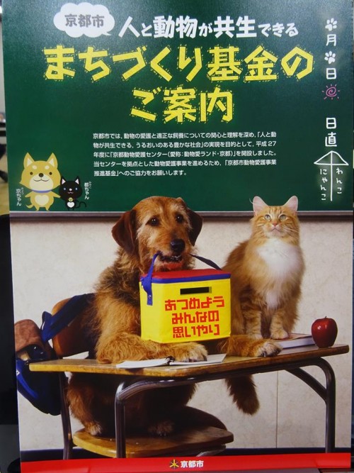 17796724_1047389258738574_8939807787470174974_n