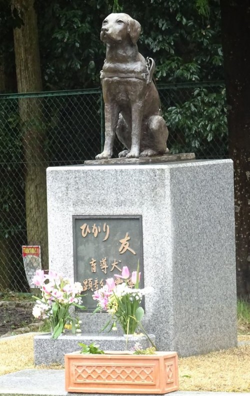 17799159_1047841892026644_1500187607074123154_n