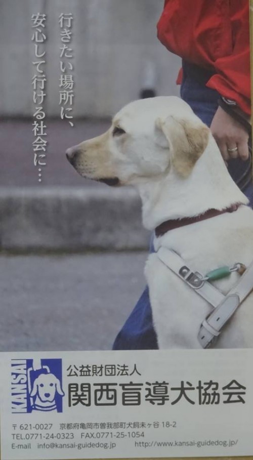 17799278_1047860348691465_3683045870467429539_n