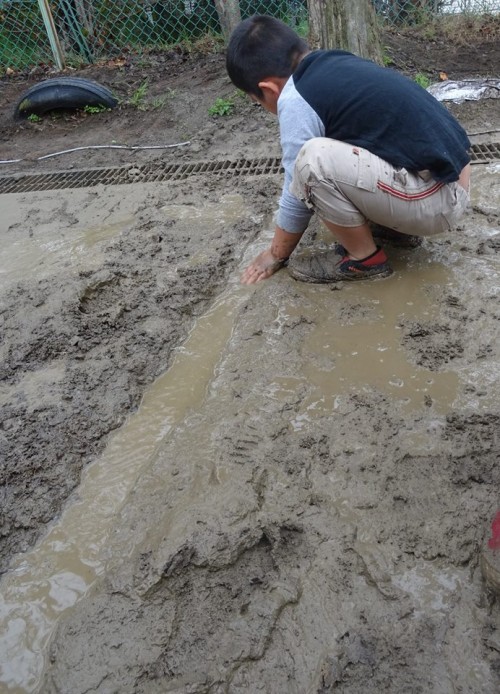 17800172_1049200911890742_341684088475062135_n