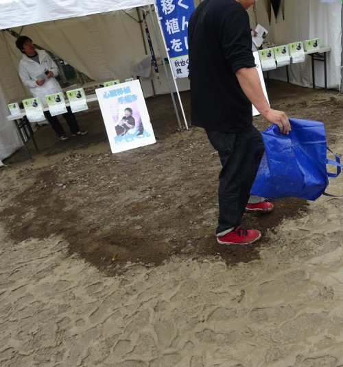 17800267_1048862541924579_7955504523446948495_n