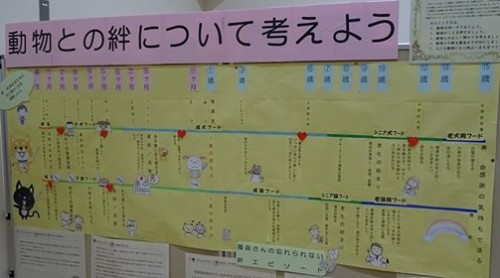 17800455_1047352515408915_8387518011974326572_n