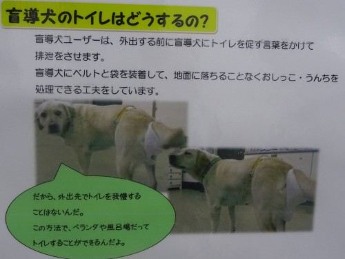 17807281_1047944498683050_8326353871066253739_o