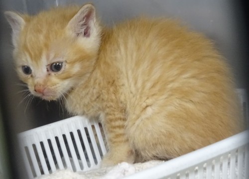 17807295_1047330408744459_7367614645048413633_o