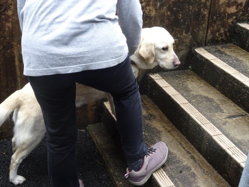 17807321_1047914178686082_3685026202894931304_o