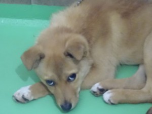 17807483_1047015768775923_7527280542687344657_o