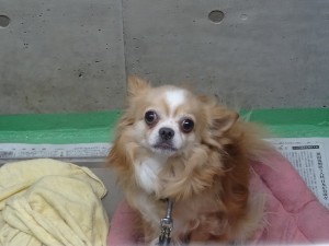 17807508_1047014958776004_5441897569337457036_o