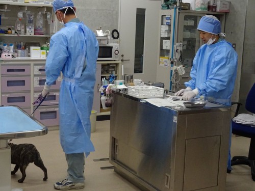 17807511_1047337132077120_3117404215986239817_o