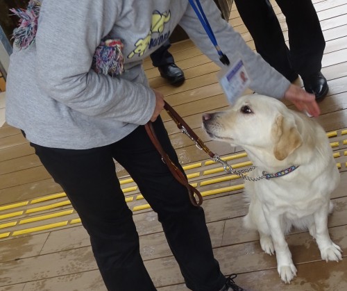 17807548_1047956895348477_1633648822985396981_o