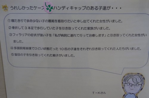 17807568_1047386262072207_5304025158036082937_o