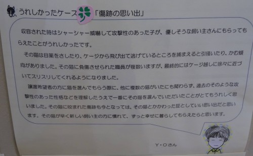 17807598_1047381342072699_4625216678754072729_o