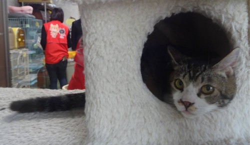 17807640_1047366478740852_2452143933362101265_o