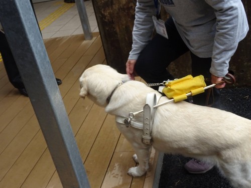 17814372_1047914202019413_6669961064808480412_o