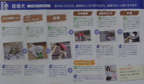 17814425_1047903438687156_8058315367957620472_o