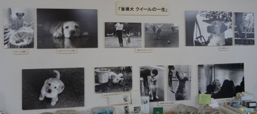 17814535_1047843128693187_3397434790969171835_o