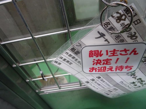 17834045_1047112035432963_4508051208870714573_o