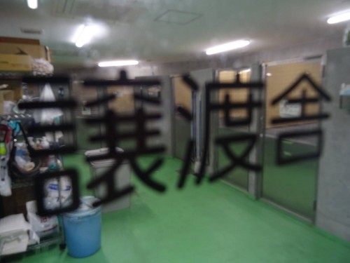 17834239_1047333005410866_8455355997548291041_o