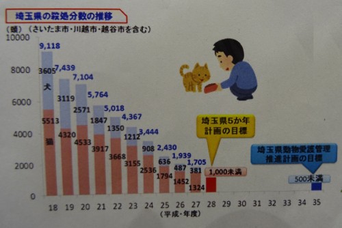 17834326_1047342818743218_919799224500892882_o