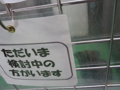 17834771_1047110415433125_6660972024586154946_o