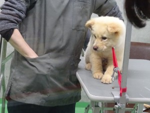 17834838_1047014138776086_5580316269311955564_o