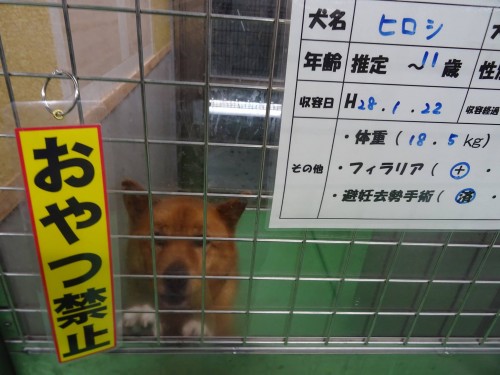 17834924_1047107395433427_6359687551085773731_o