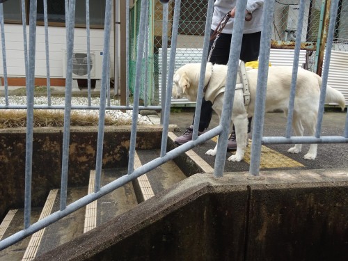 17835068_1047911675352999_5977710496200363579_o