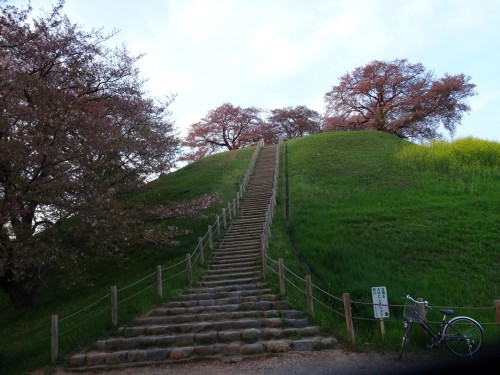 17880618_1055605701250263_1175096221032344364_o26