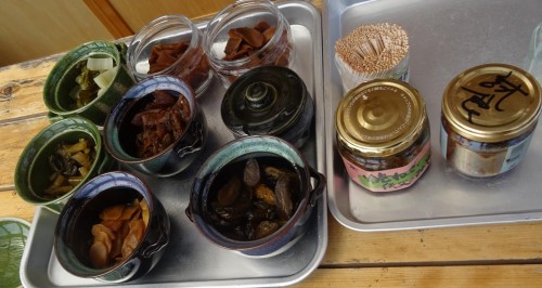 17918081_1055330067944493_2124054469520356774_o6