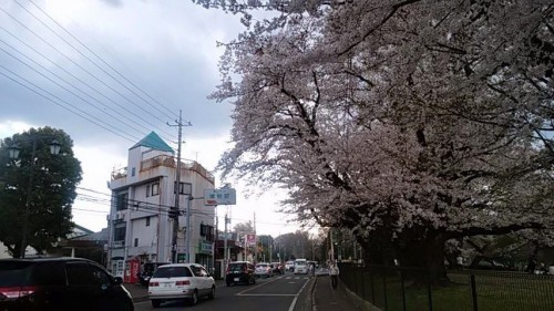 17951699_1052381418239358_5076747928939202110_n