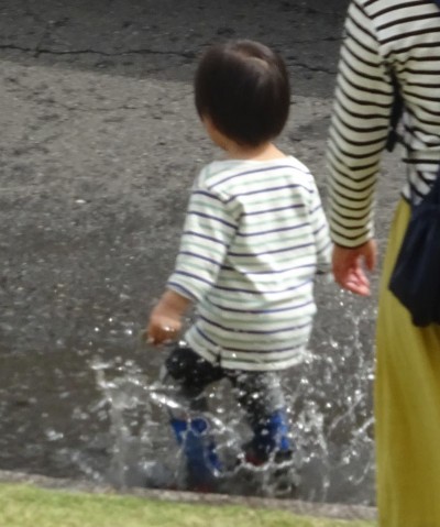 17990263_1056370487840451_6490520641980703094_o