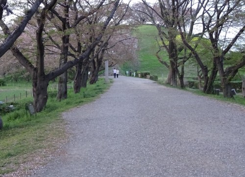 17990534_1055600711250762_5919812624316230147_o24