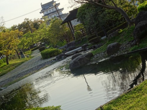 17991301_1055570681253765_6050503256584048020_o19