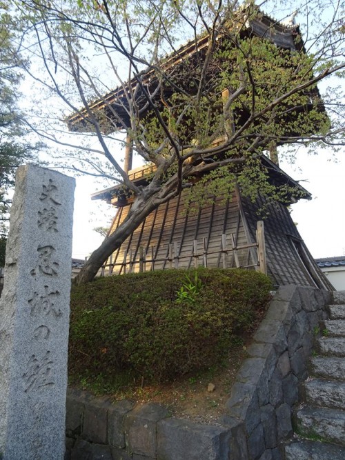 18010460_1055563874587779_8509354153079696708_n18