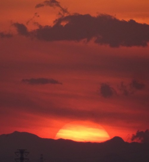 18033263_1055619744582192_60074850987804501_n29