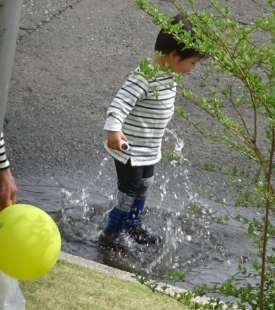 18033410_1056370607840439_5995594034960394021_n