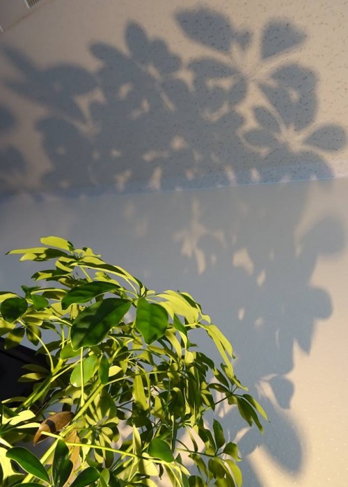 18057166_1061364267341073_2178999452880545224_n